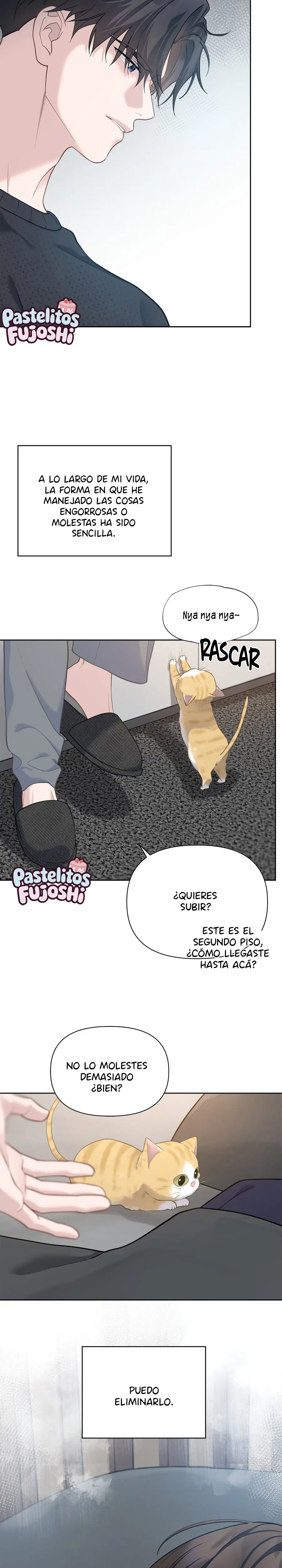 Compañero de Rut capítulo 15, página 17