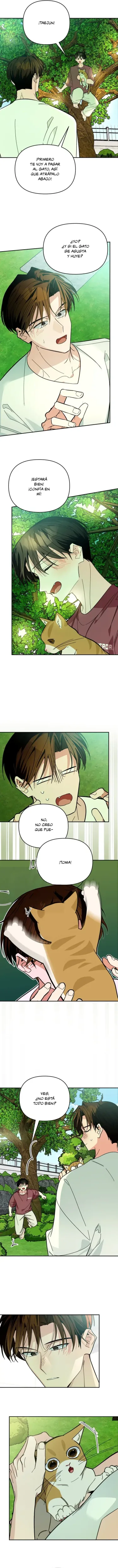 ¡Dame un bebé lince, si no quieres verme enloquecer! capítulo 32, página 12