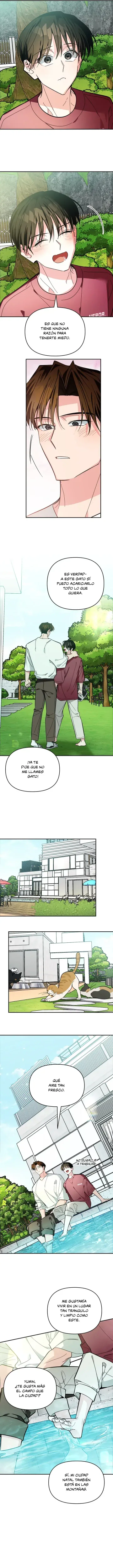 ¡Dame un bebé lince, si no quieres verme enloquecer! capítulo 32, página 14