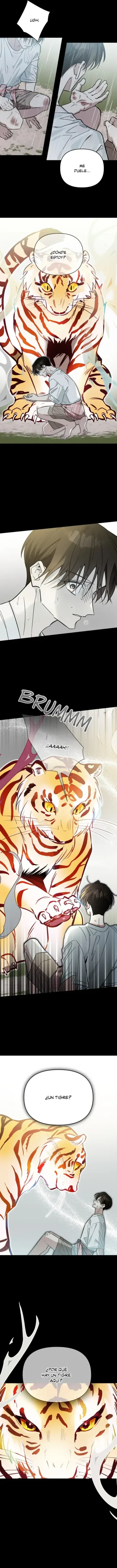 ¡Dame un bebé lince, si no quieres verme enloquecer! capítulo 35, página 13