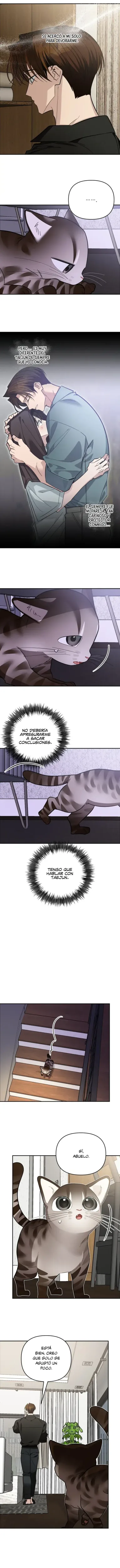 ¡Dame un bebé lince, si no quieres verme enloquecer! capítulo 38, página 11