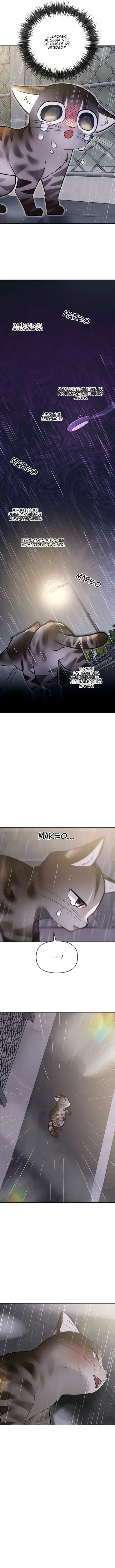 ¡Dame un bebé lince, si no quieres verme enloquecer! capítulo 38, página 13