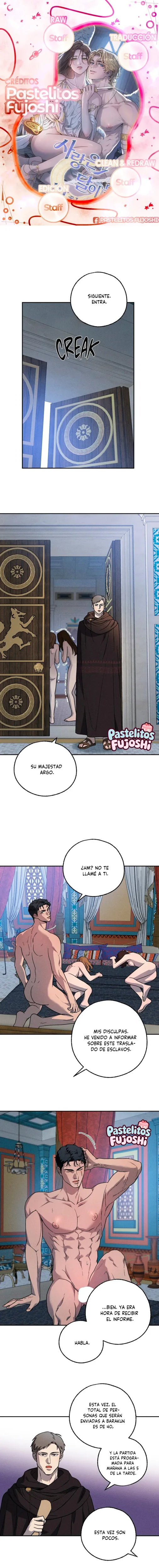 El amor llega en una noche iluminada capítulo 14, página 1