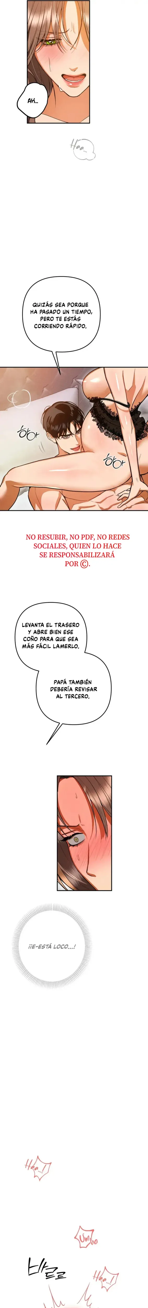 El Umbral Absoluto capítulo 92, página 4
