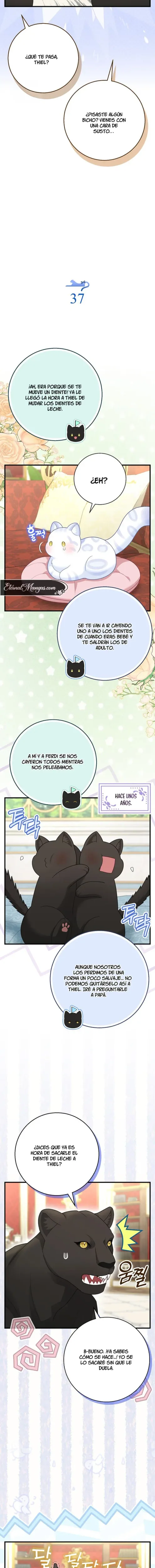 La Bebe Leopardo De Las Nieves De La Familia De Leopardos Negros capítulo 761, página 2
