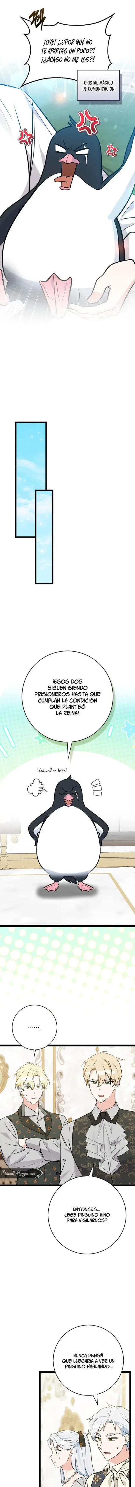 La bestia es un conejo. capítulo 66, página 9