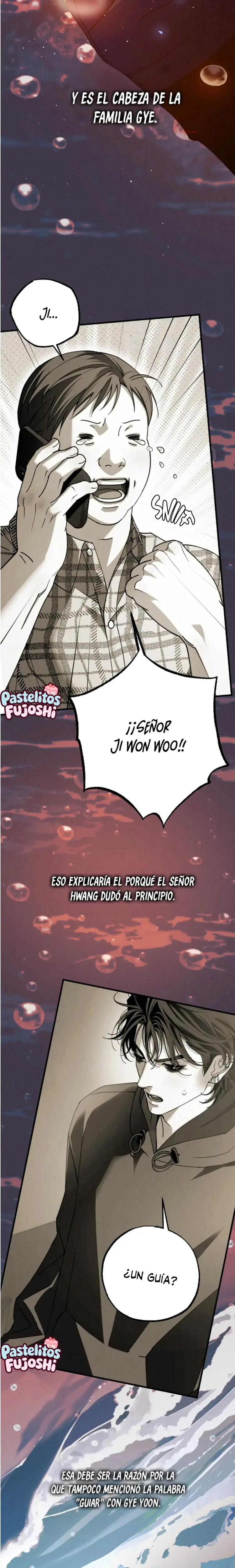 sensación Deslumbrante capítulo 30, página 15