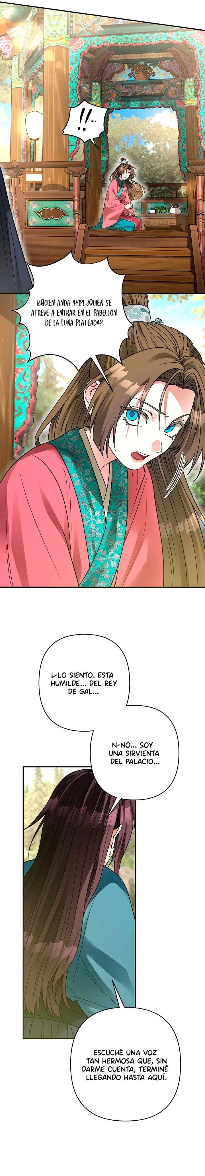 Sobre la Sombra Negra capítulo 10, página 5