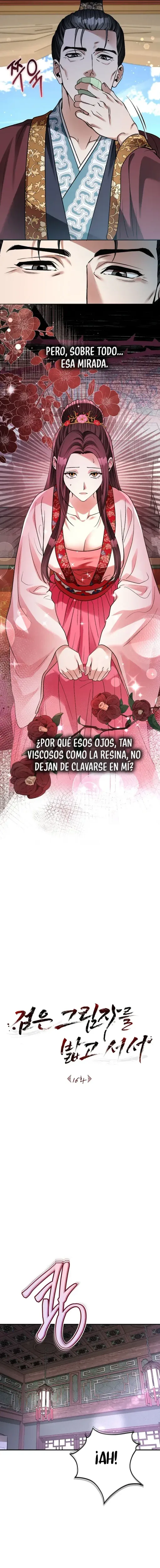 Sobre la Sombra Negra capítulo 16, página 2