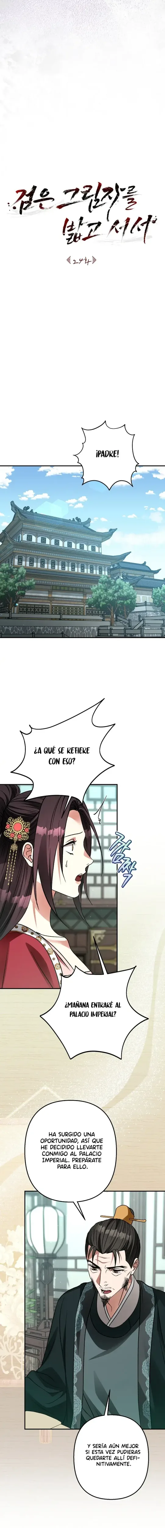 Sobre la Sombra Negra capítulo 24, página 9