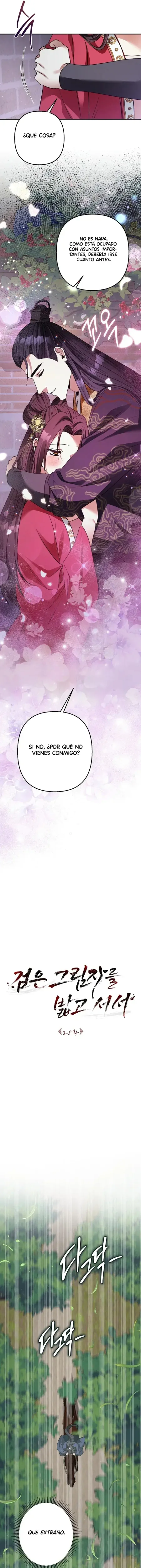 Sobre la Sombra Negra capítulo 25, página 10