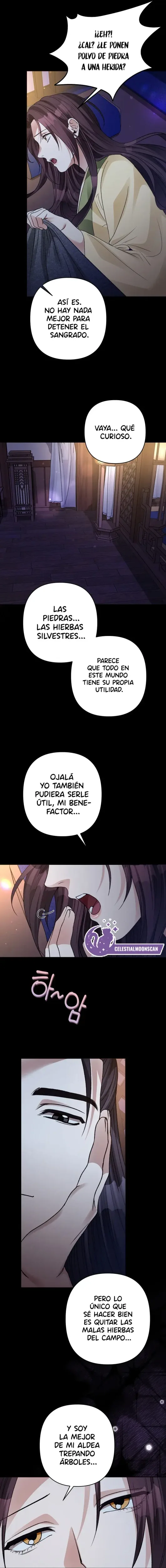 Sobre la Sombra Negra capítulo 8, página 4