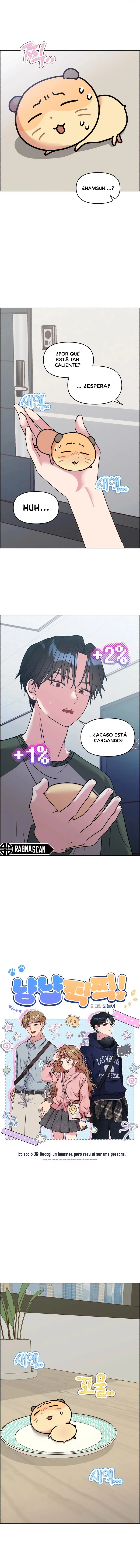¡Meow Meow! ¡Squeak Squeak! capítulo 36, página 3