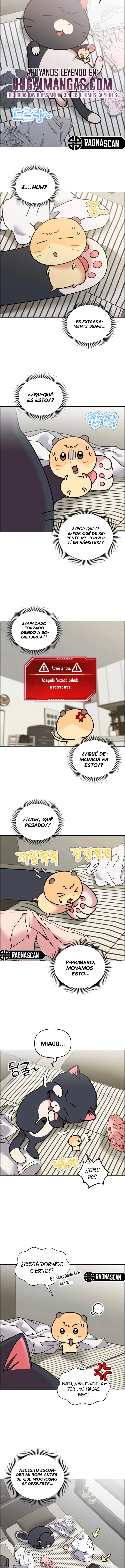 ¡Meow Meow! ¡Squeak Squeak! capítulo 50, página 3