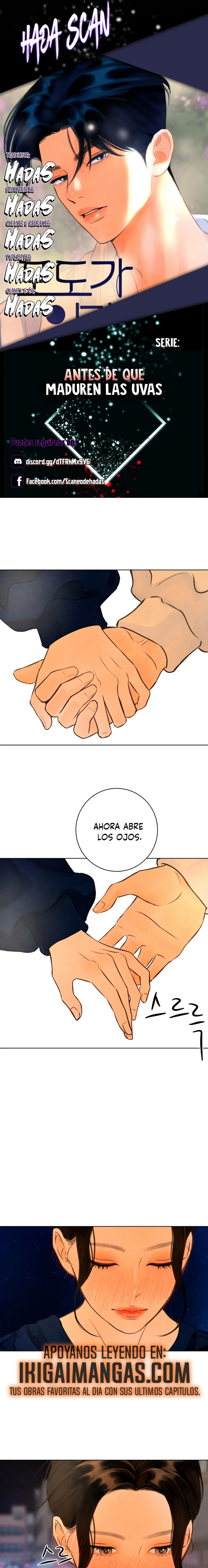 Antes de que Maduren las Uvas capítulo 11, página 1