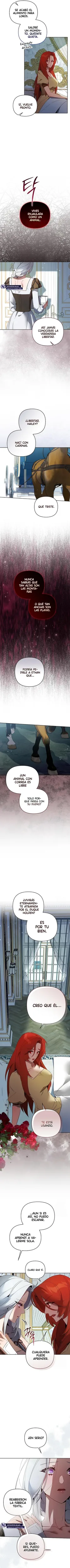 El pájaro mascota del Duque Negro capítulo 18, página 7