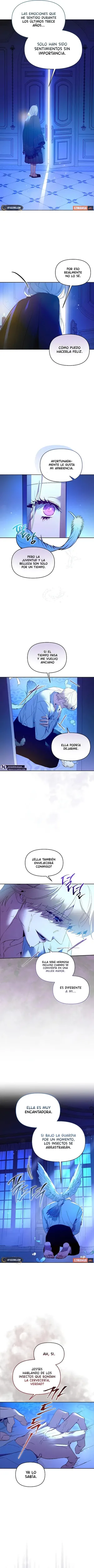 El pájaro mascota del Duque Negro capítulo 26, página 5