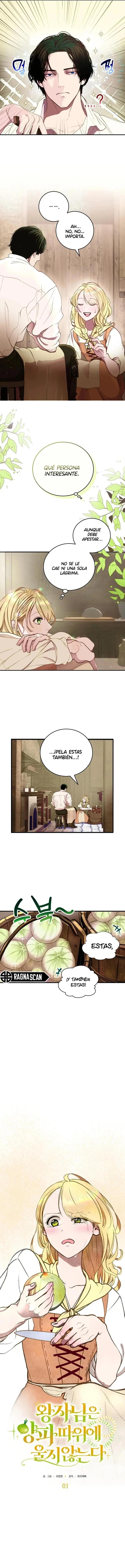 El Príncipe no llora por meras cebollas. capítulo 1, página 3
