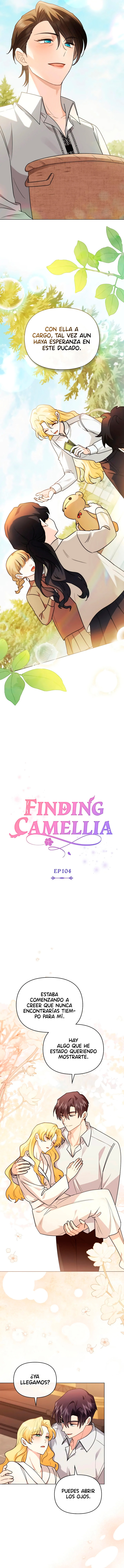 Encontrando a Camellia capítulo 104, página 5