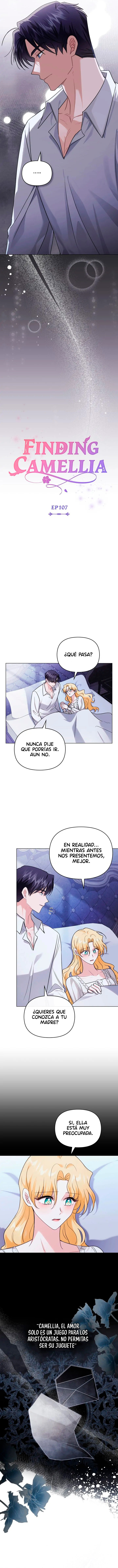Encontrando a Camellia capítulo 107, página 4