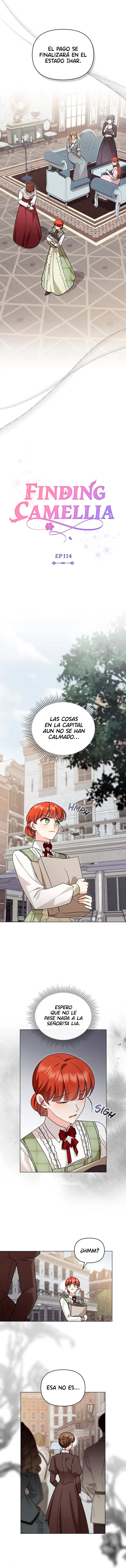 Encontrando a Camellia capítulo 114, página 4