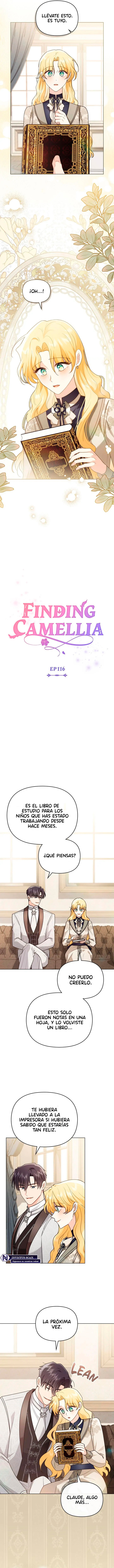 Encontrando a Camellia capítulo 116, página 3