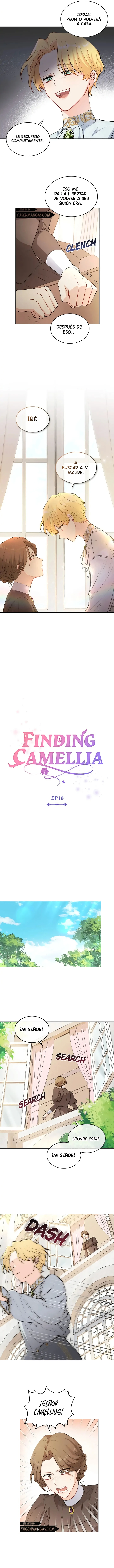 Encontrando a Camellia capítulo 18, página 6