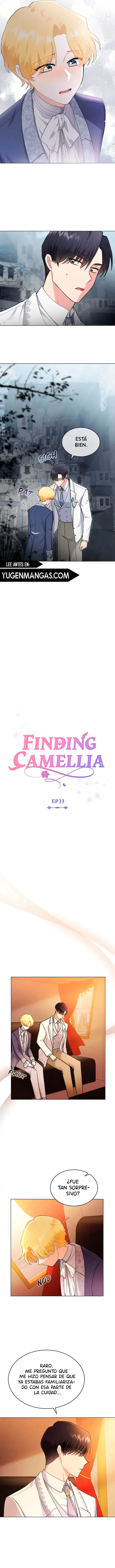 Encontrando a Camellia capítulo 33, página 5
