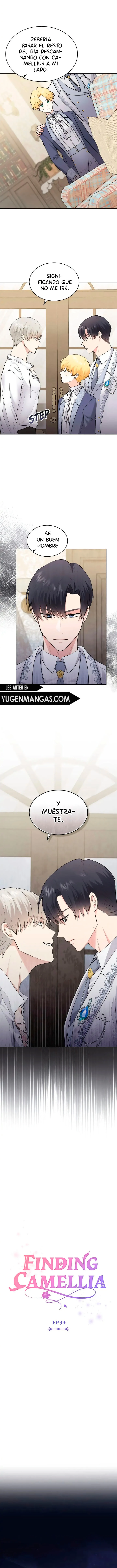 Encontrando a Camellia capítulo 34, página 5