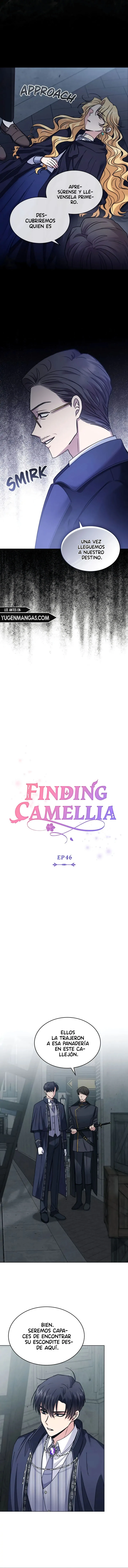 Encontrando a Camellia capítulo 46, página 7