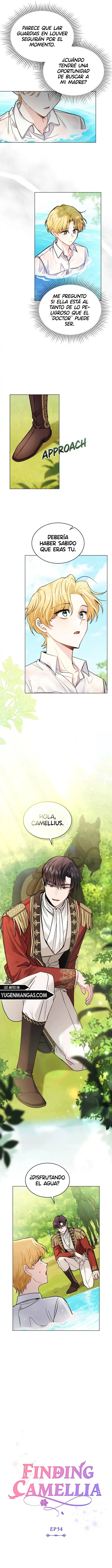 Encontrando a Camellia capítulo 54, página 4