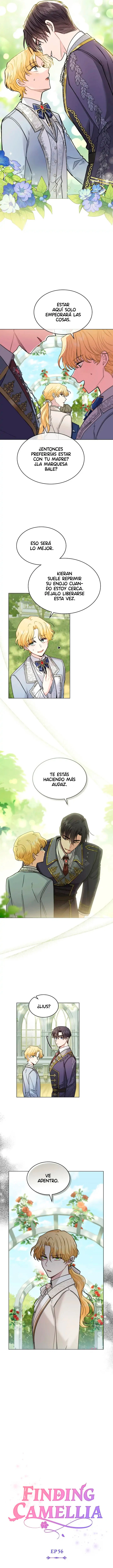 Encontrando a Camellia capítulo 56, página 3