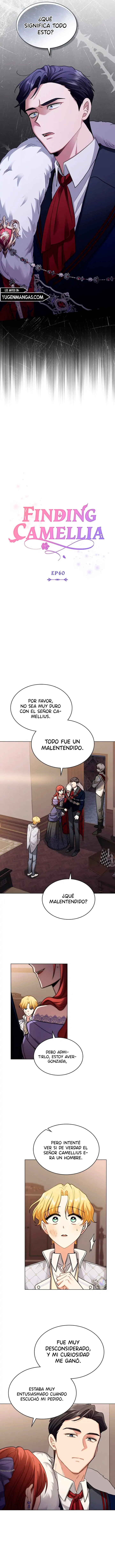 Encontrando a Camellia capítulo 61, página 6