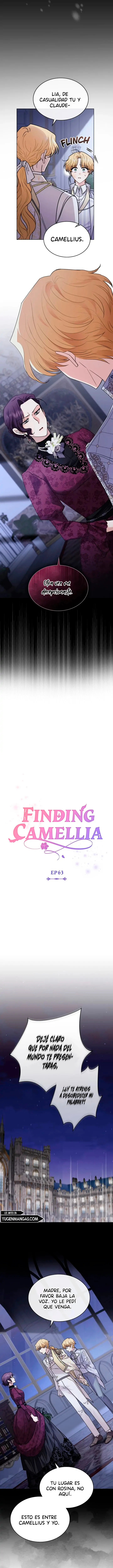 Encontrando a Camellia capítulo 63, página 4