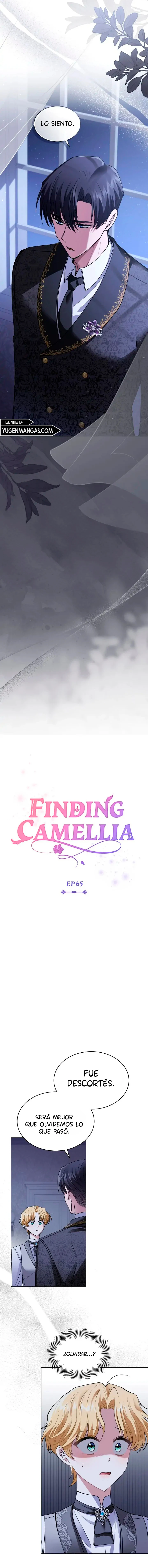 Encontrando a Camellia capítulo 65, página 4
