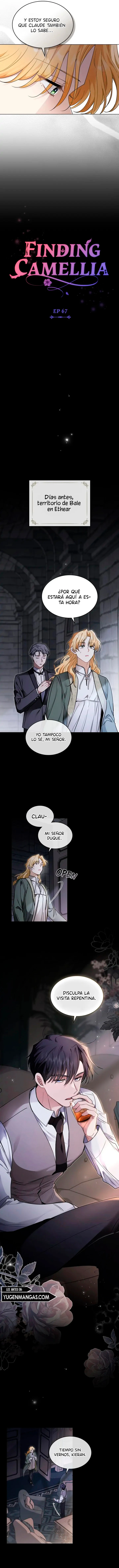 Encontrando a Camellia capítulo 67, página 4