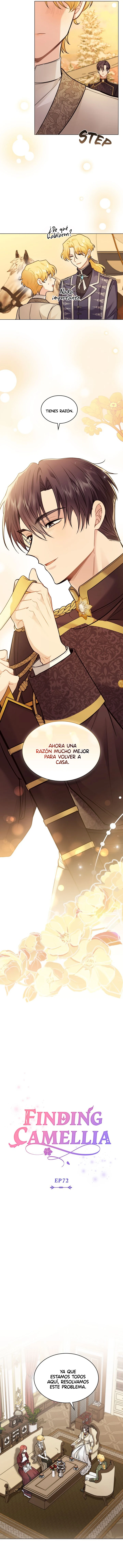 Encontrando a Camellia capítulo 72, página 4