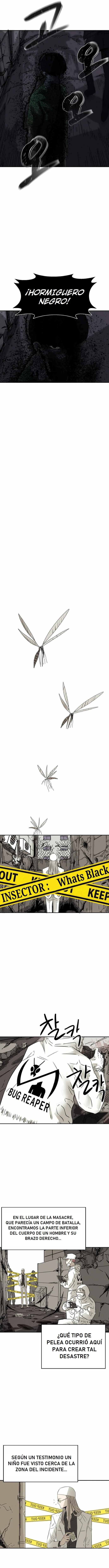 INSECTOS capítulo 1, página 3