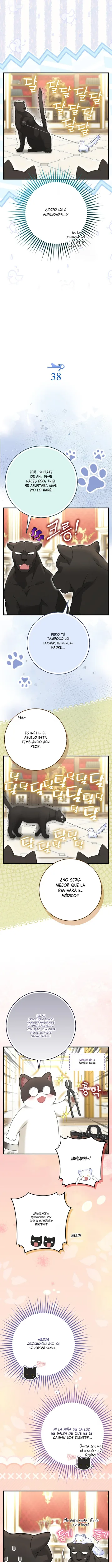 La Bebe Leopardo De Las Nieves De La Familia De Leopardos Negros capítulo 76.1, página 4