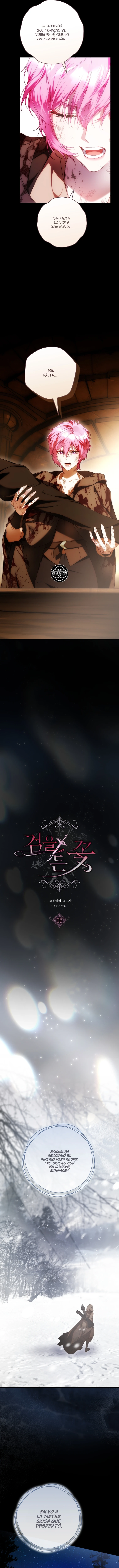 La Flor Con Espada capítulo 57, página 4