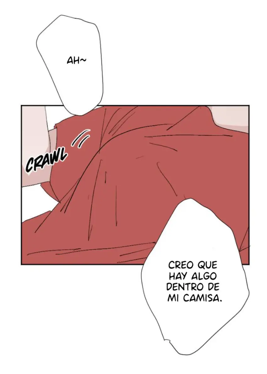 Mis cuatro maridos capítulo 132, página 3