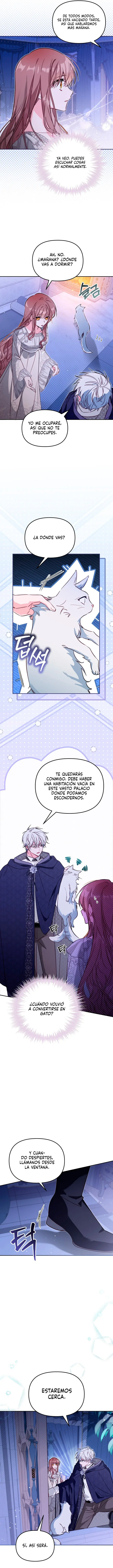 No Hay Lugar Para la Falsa capítulo 47, página 8
