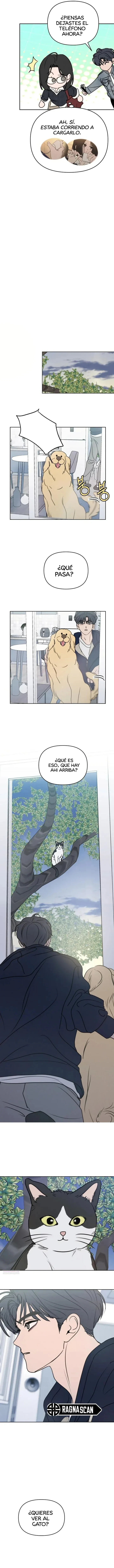 Quiero dejarme engañar capítulo 20, página 13