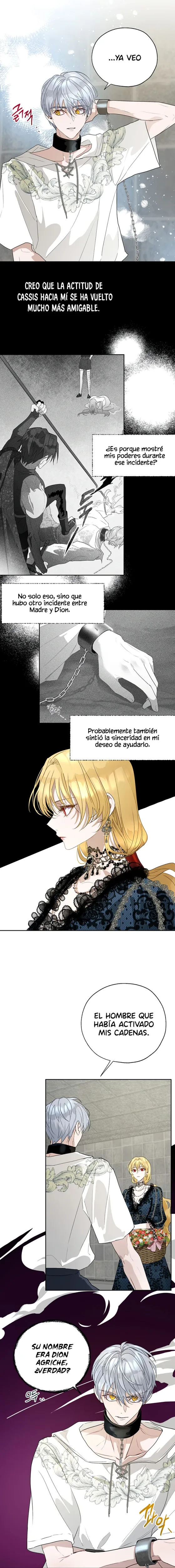 Roxana : Cómo Proteger Al Hermano Mayor De La Protagonista capítulo 19, página 9