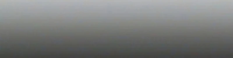 Un Día, Me Convertí En Un Polluelo Recién Nacido capítulo 27, página 18