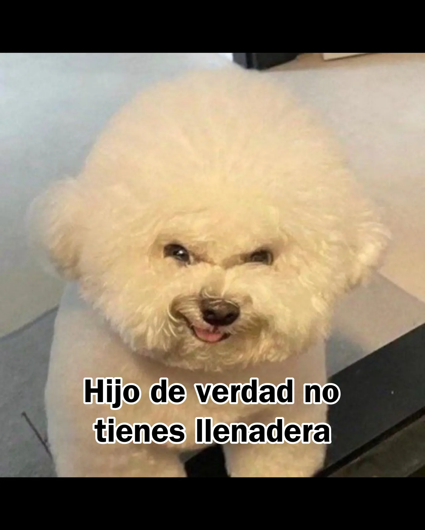 El Rehén Descarado capítulo 17, página 14