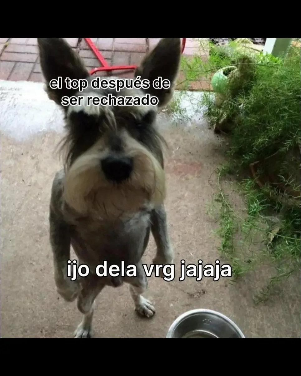El Rehén Descarado capítulo 19, página 6