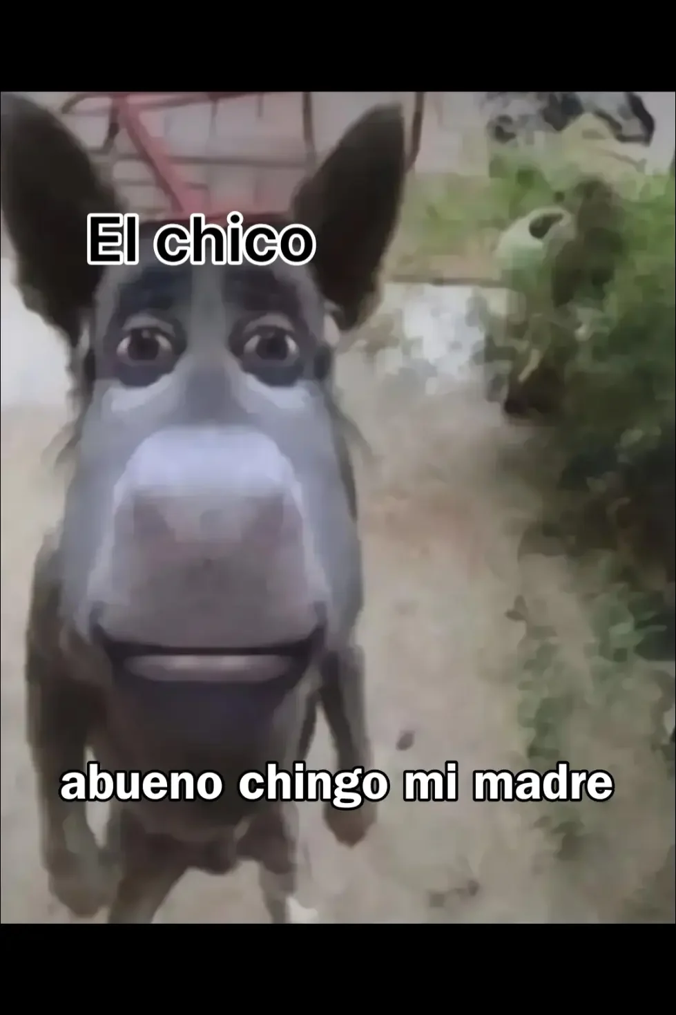 El Rehén Descarado capítulo 23, página 7