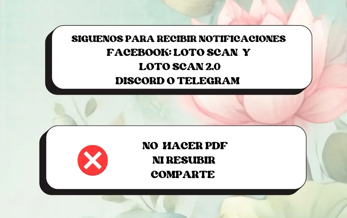 Me gustan tus feromonas con extracto de novela capítulo 50, página 12