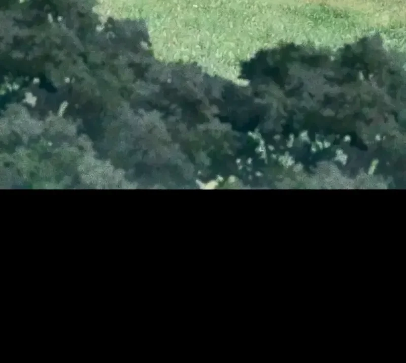 Mi esposa me esperaba en el campo de trigo. capítulo 19, página 4